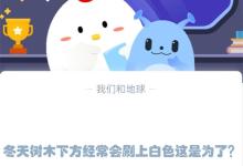 冬天树木下方经常会刷上白色这是为了?支付宝蚂蚁庄园1月9日答案